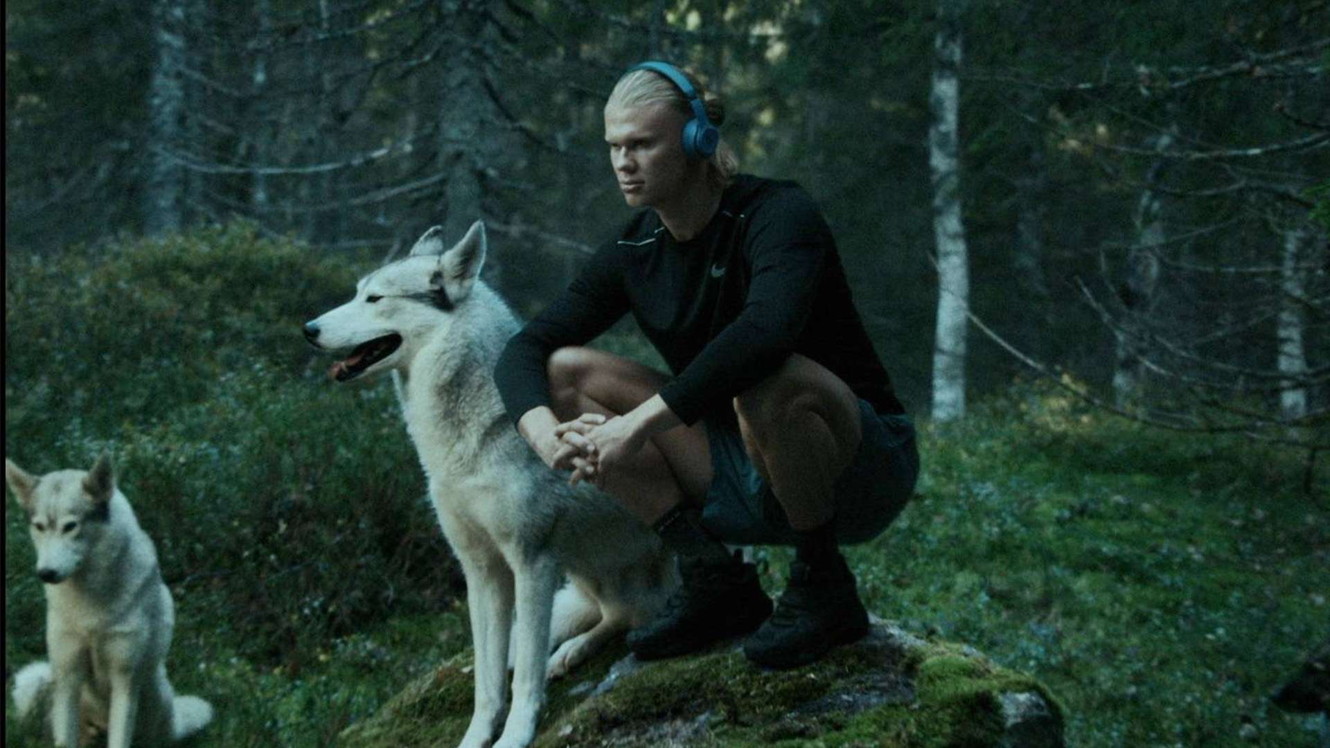 济波动的背 济波动的背